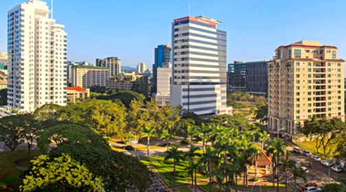 trees and buildings