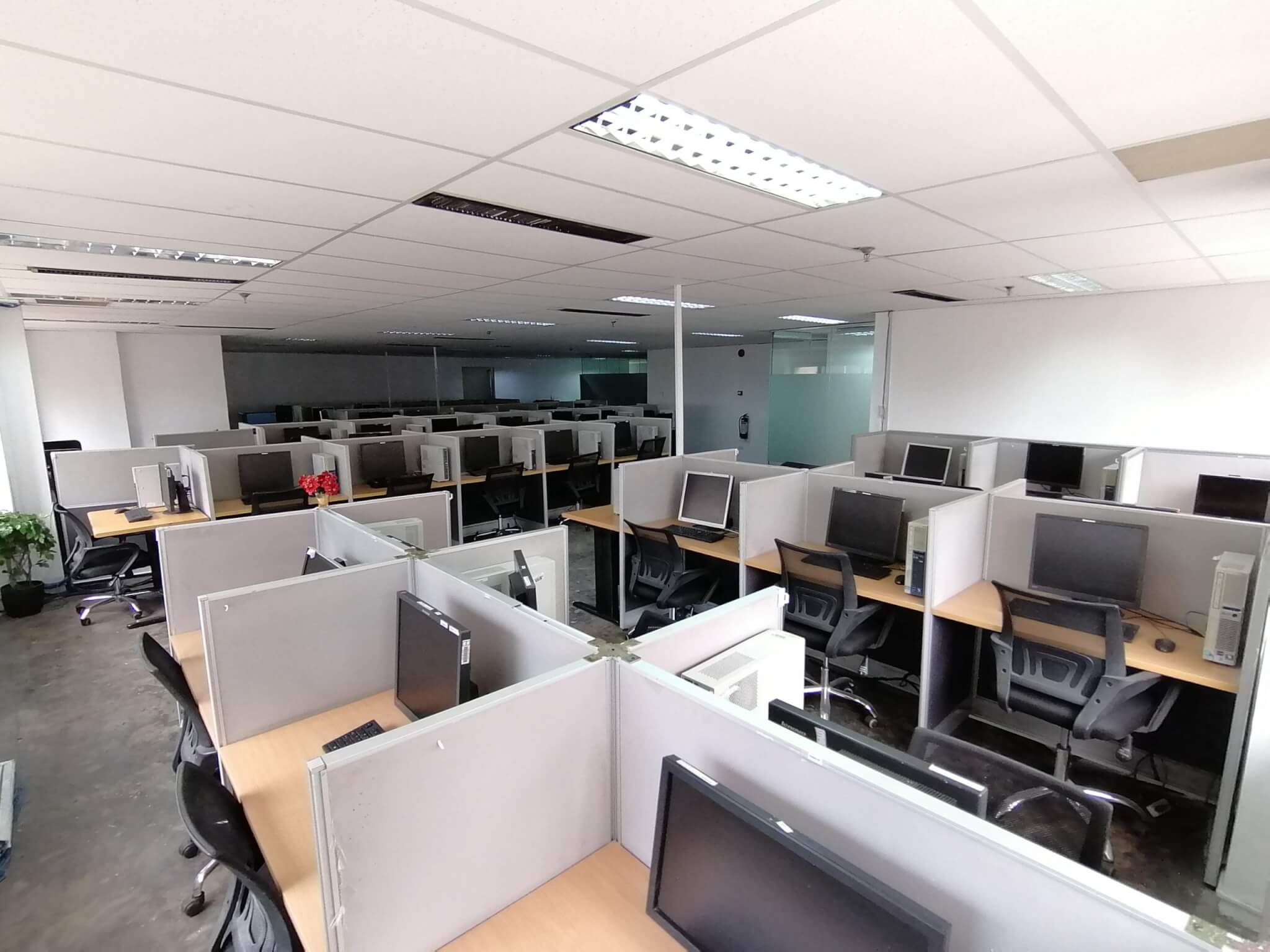 BPO sector expected to fare better this year