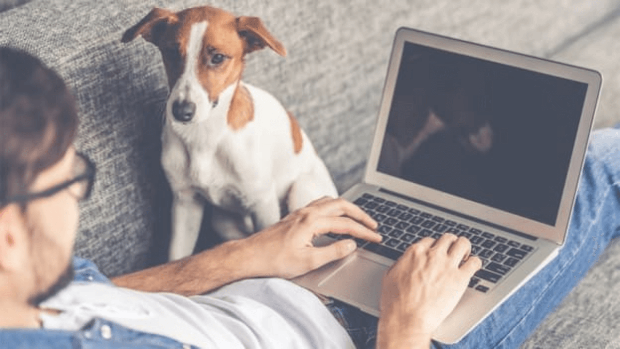 Hybrid work ‘instrumental’ for employee adjustment post-remote work