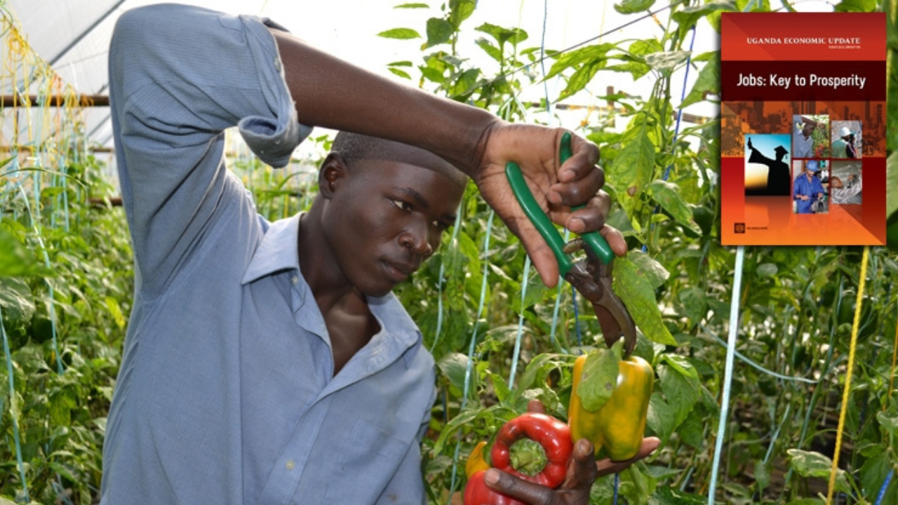 Uganda’s gov’t body highlights employment opportunities under RCIP