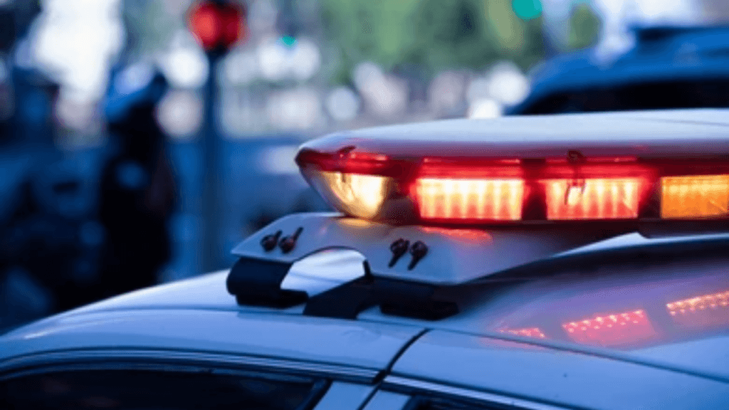 Cyberbacker CEO arrested for giving son THC edibles