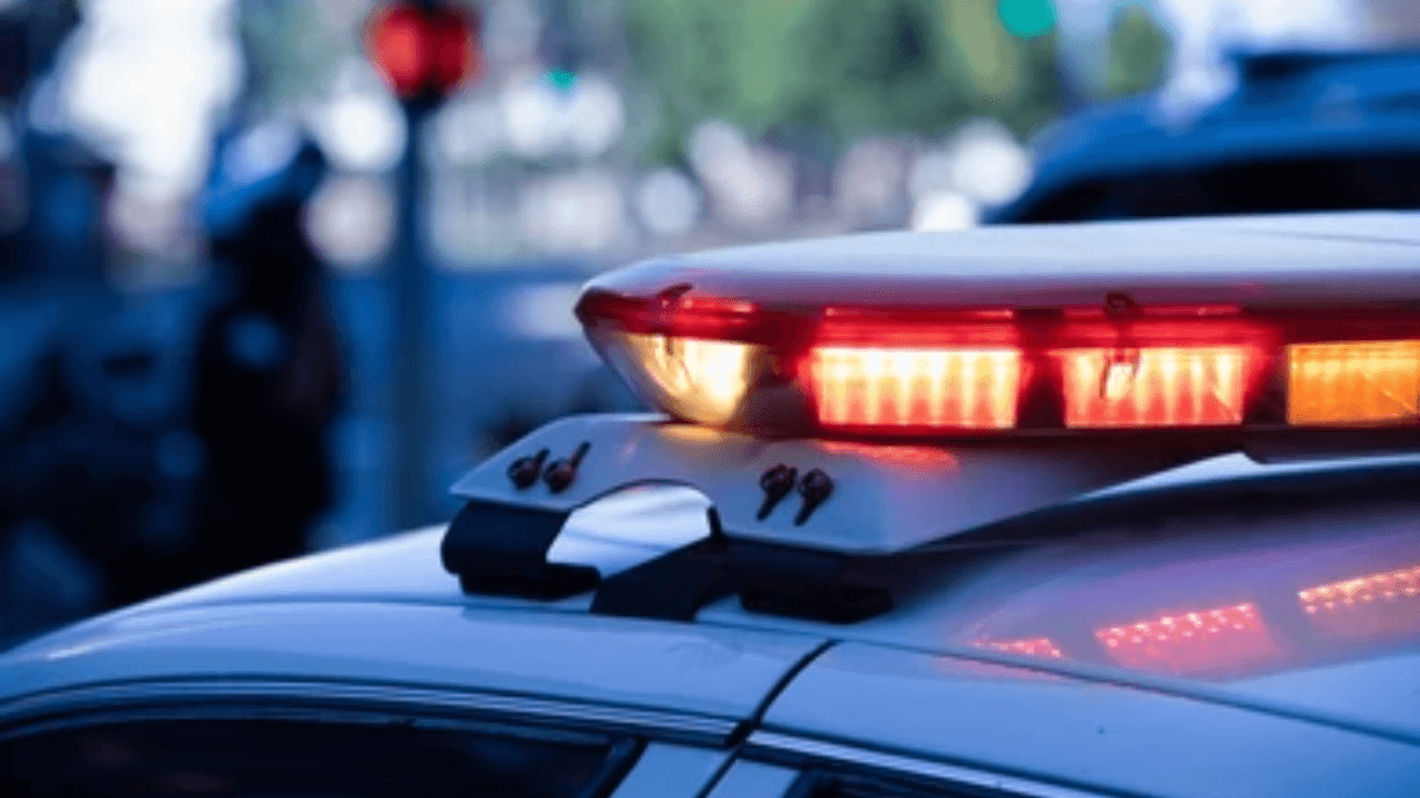 cyberbacker-ceo-arrested