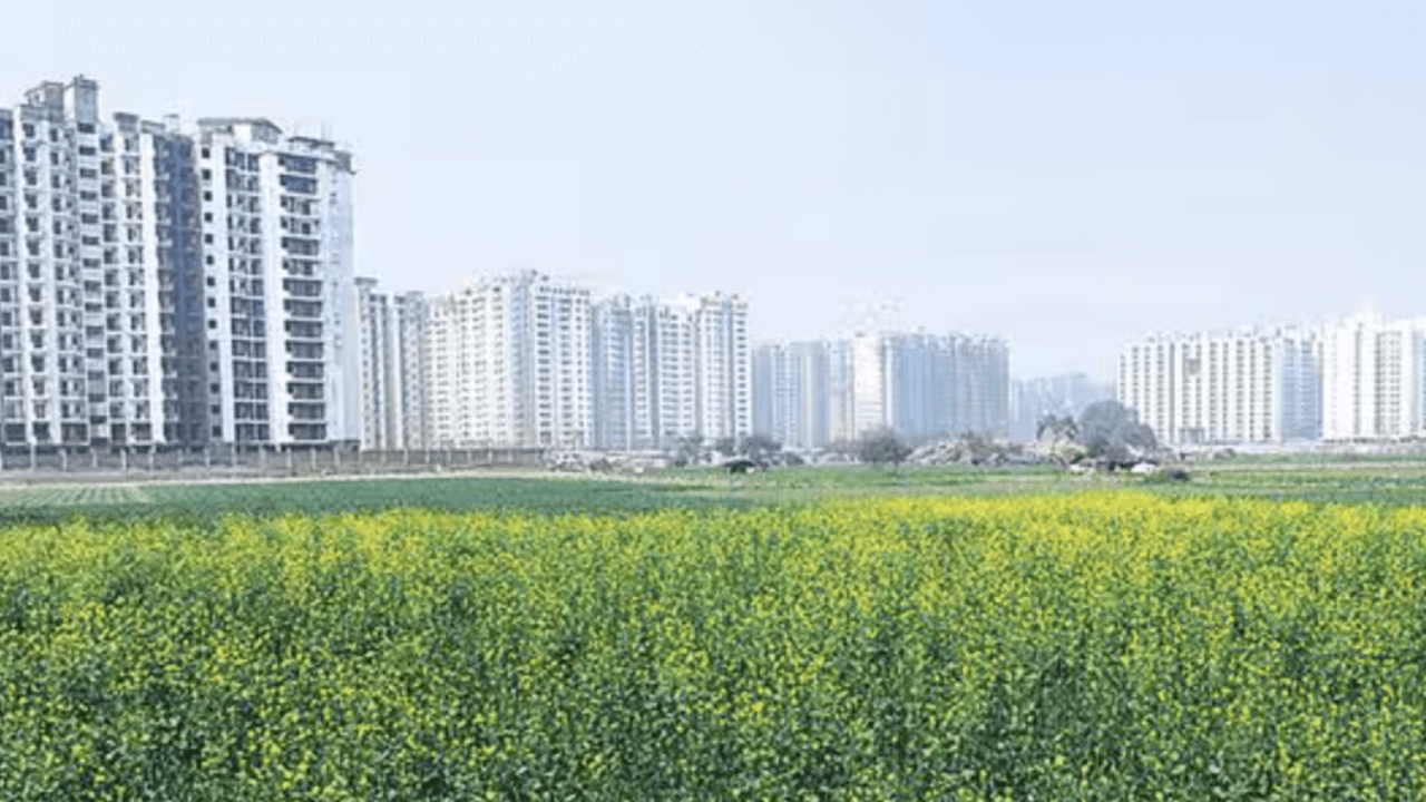 India’s Greater Noida to auction 22 plots for starting IT, BPO firms