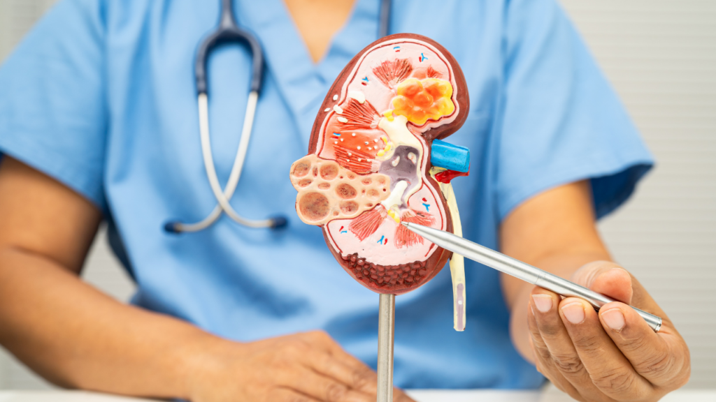 Georgia doctor’s telehealth model expands kidney care access